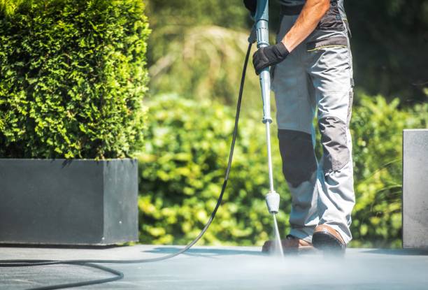 Solar Panel Cleaning in Rosewood Heights, IL