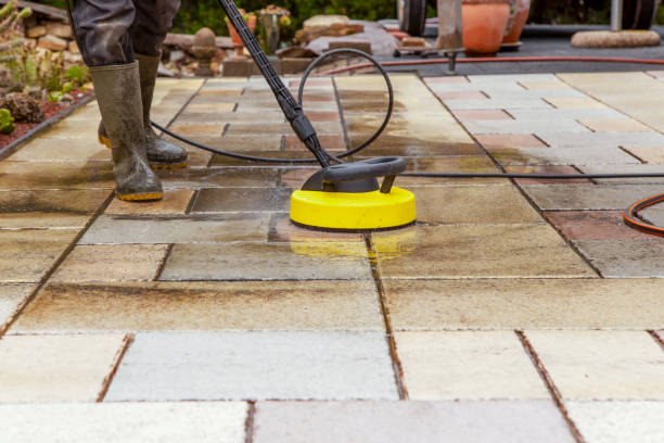 Best Fence Cleaning  in Rosewood Heights, IL