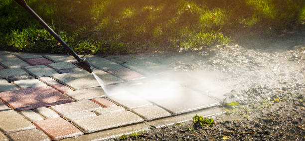 Best Patio and Deck Pressure Washing  in Rosewood Heights, IL